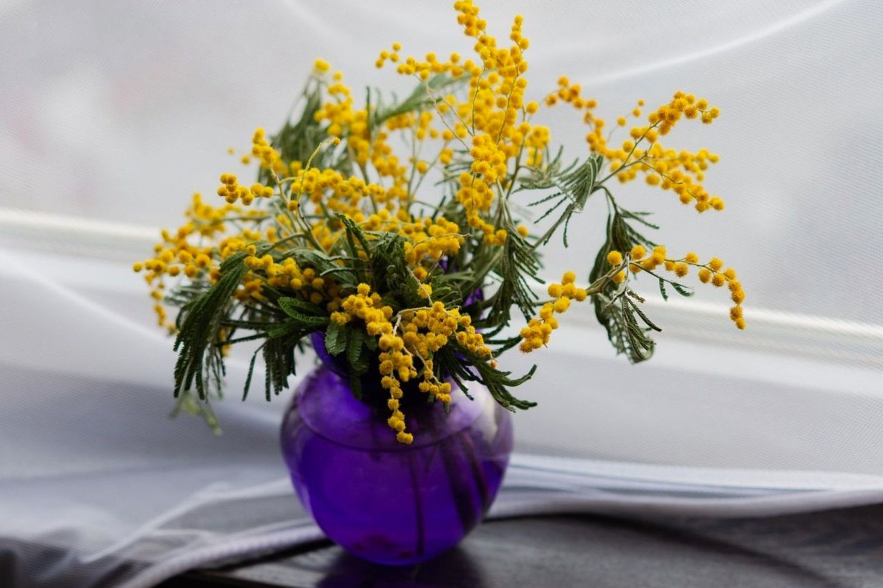 Composition florale
